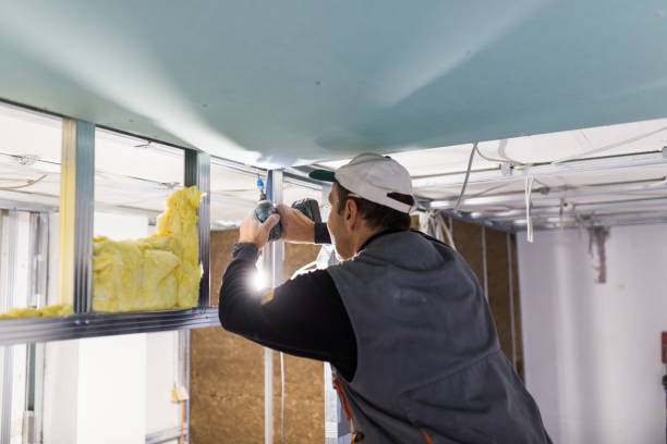 Best Insulation Maintenance and Repair in Labarque Creek, MO
